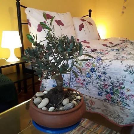 Bella Caponka Apartment Mali Losinj
