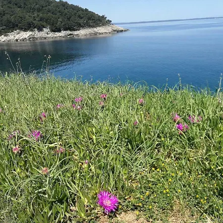 Bella Caponka Apartment Mali Losinj